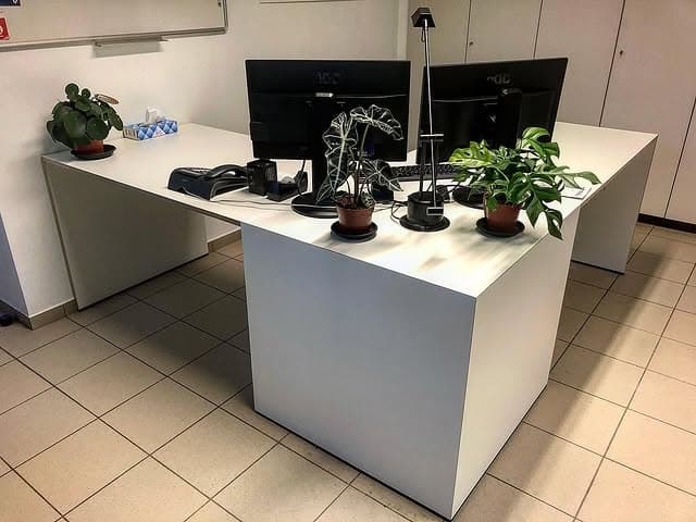Maatwerk Directiebureau