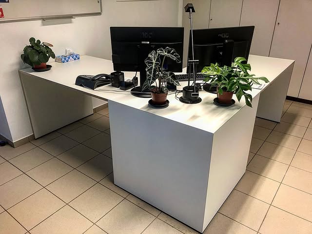 Maatwerk Directiebureau